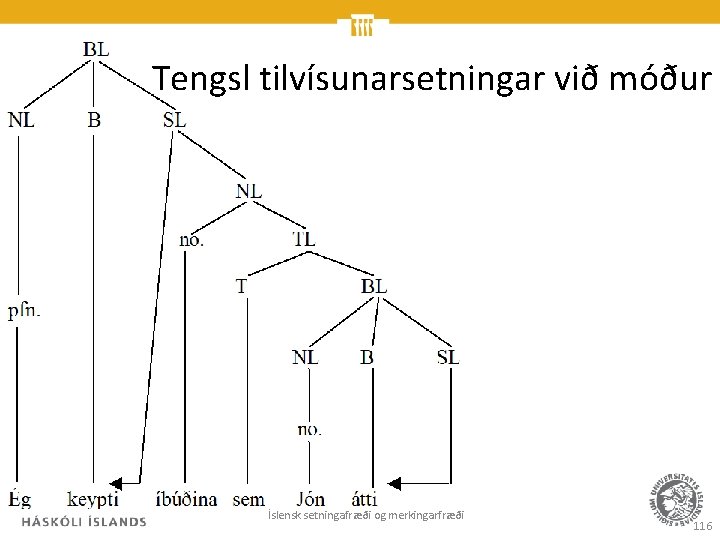 Tengsl tilvísunarsetningar við móður Íslensk setningafræði og merkingarfræði 116 