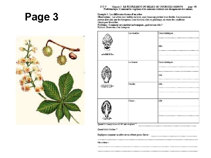 Page 3 Page 3