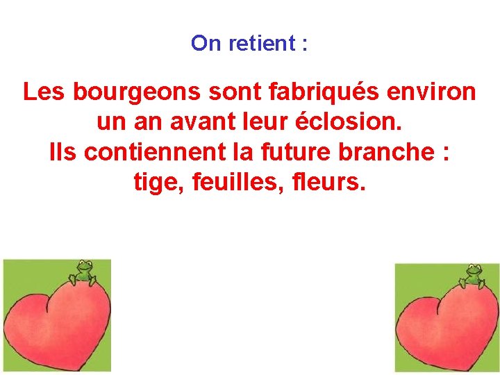 On retient : Les bourgeons sont fabriqués environ un an avant leur éclosion. Ils On retient : Les bourgeons sont fabriqués environ un an avant leur éclosion. Ils