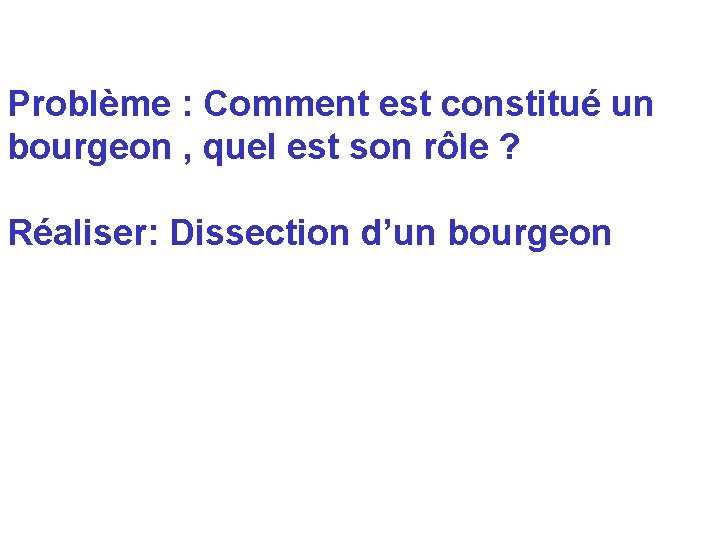 Problème : Comment est constitué un bourgeon , quel est son rôle ? Réaliser: Problème : Comment est constitué un bourgeon , quel est son rôle ? Réaliser: