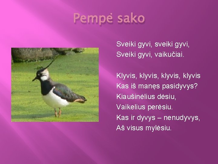 Pempė sako Sveiki gyvi, sveiki gyvi, Sveiki gyvi, vaikučiai. Klyvis, klyvis, klyvis Kas iš