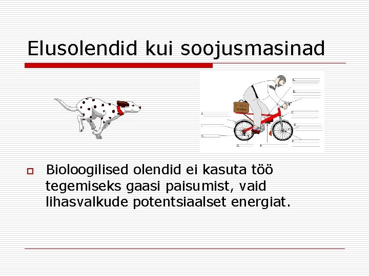 Elusolendid kui soojusmasinad o Bioloogilised olendid ei kasuta töö tegemiseks gaasi paisumist, vaid lihasvalkude