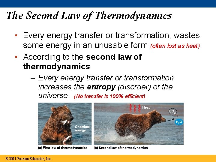 The Second Law of Thermodynamics • Every energy transfer or transformation, wastes some energy