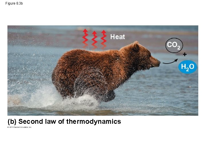 Figure 8. 3 b Heat (b) Second law of thermodynamics 