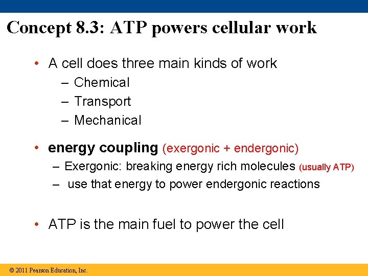 Concept 8. 3: ATP powers cellular work • A cell does three main kinds