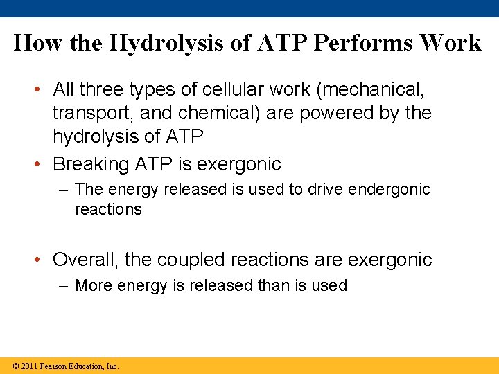 How the Hydrolysis of ATP Performs Work • All three types of cellular work