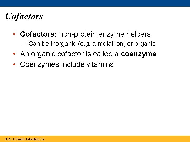 Cofactors • Cofactors: non-protein enzyme helpers – Can be inorganic (e. g. a metal