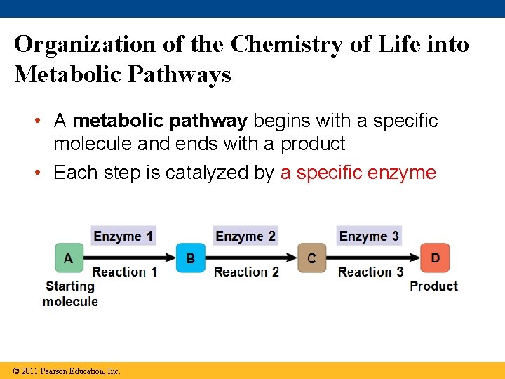 Organization of the Chemistry of Life into Metabolic Pathways • A metabolic pathway begins