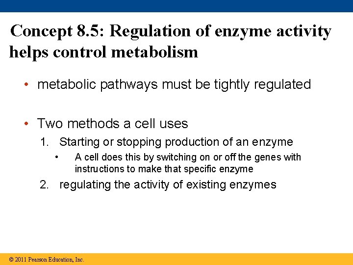 Concept 8. 5: Regulation of enzyme activity helps control metabolism • metabolic pathways must