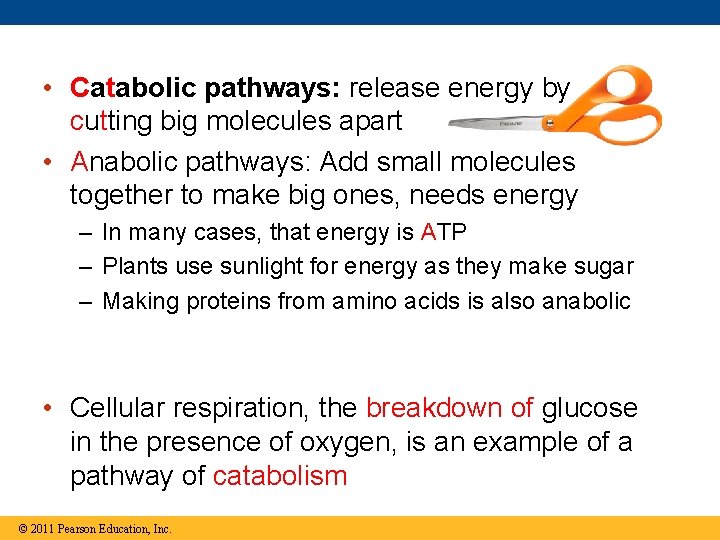  • Catabolic pathways: release energy by cutting big molecules apart • Anabolic pathways: