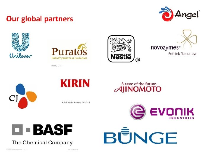 Our global partners 