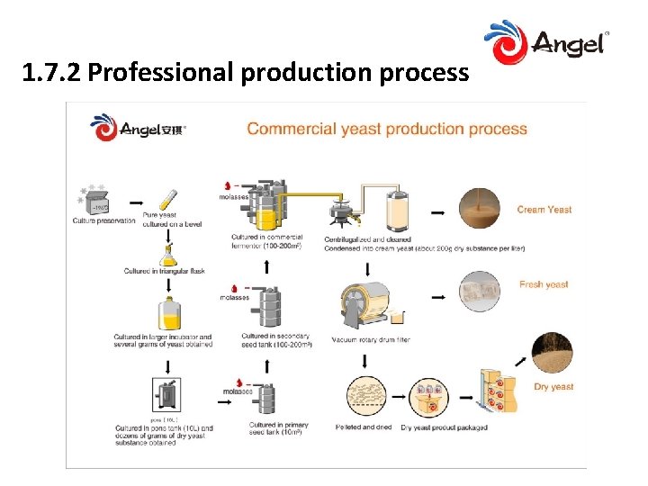 1. 7. 2 Professional production process 