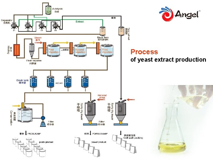 Process of yeast extract production 