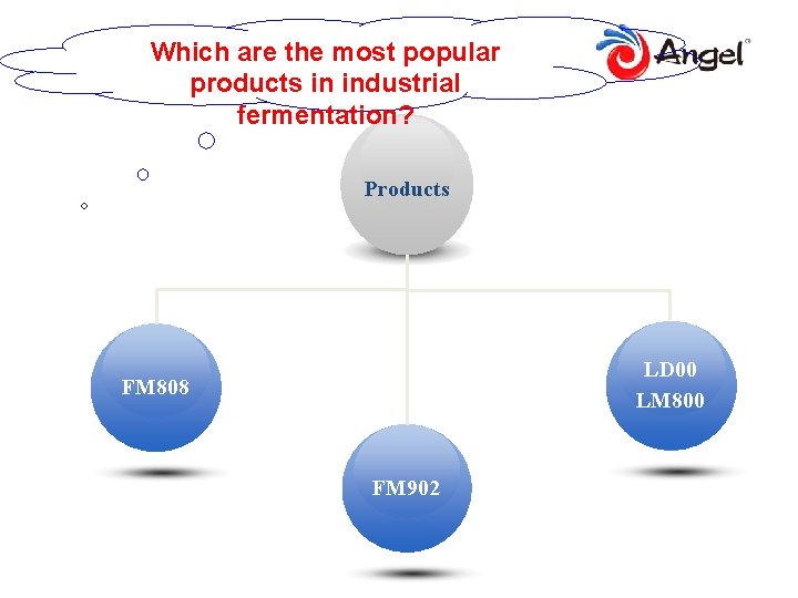 Which are the most popular products in industrial fermentation? Products LD 00 LM 800