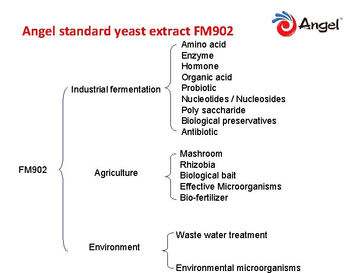 Angel standard yeast extract FM 902 Industrial fermentation FM 902 Agriculture Amino acid Enzyme
