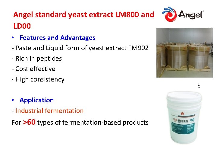 Angel standard yeast extract LM 800 and LD 00 • Features and Advantages -