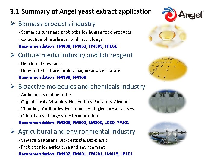 3. 1 Summary of Angel yeast extract application Ø Biomass products industry - Starter