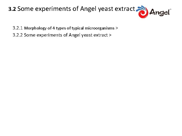 3. 2 Some experiments of Angel yeast extract 3. 2. 1 Morphology of 4