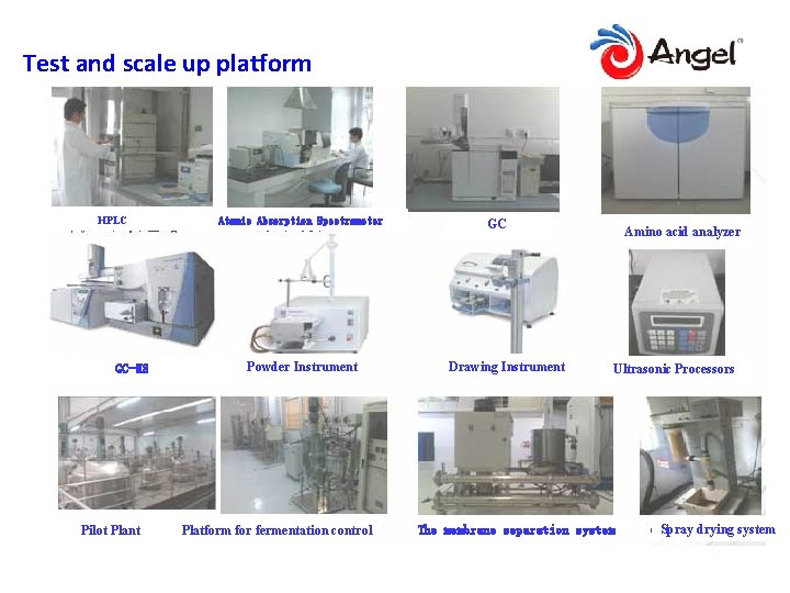 Test and scale up platform HPLC GC-MS Pilot Plant Atomic Absorption Spectrometer Powder Instrument