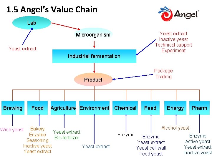 1. 5 Angel’s Value Chain Lab Yeast extract Inactive yeast Technical support Experiment Microorganism