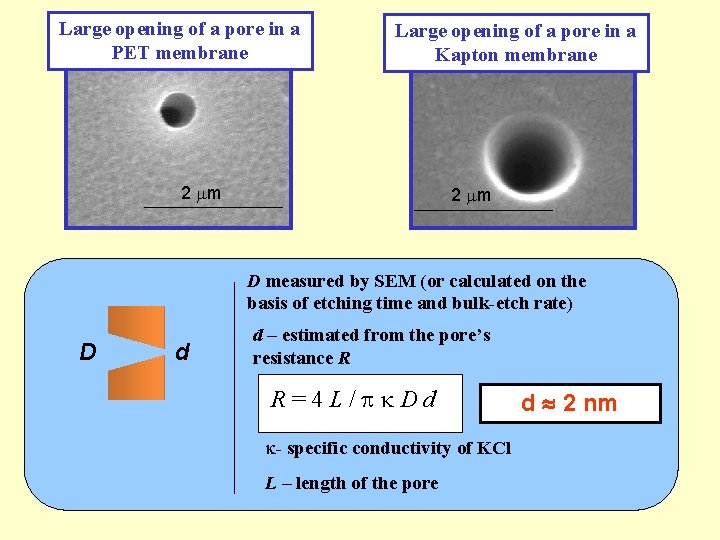 Large opening of a pore in a PET membrane Large opening of a pore