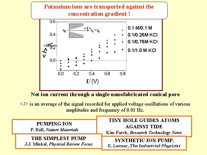 Potassium ions are transported against the concentration gradient ! 0. 1 M/0. 1 M