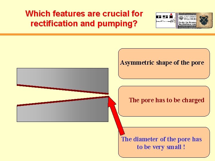 Which features are crucial for rectification and pumping? Asymmetric shape of the pore The