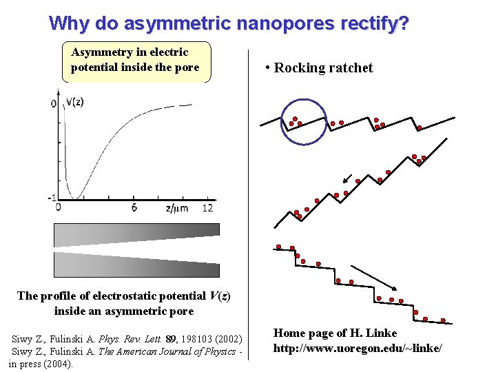 Why do asymmetric nanopores rectify? Asymmetry in electric potential inside the pore • Rocking