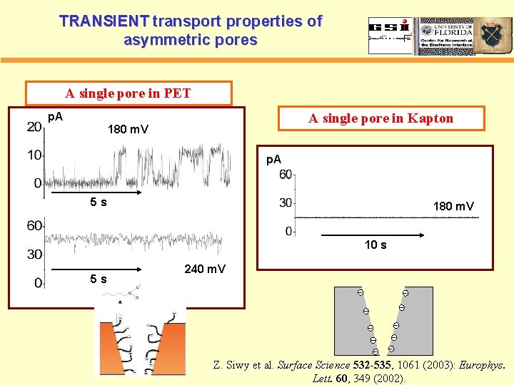 TRANSIENT transport properties of asymmetric pores A single pore in PET A single pore