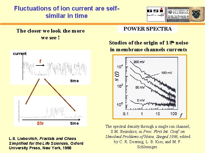 Fluctuations of ion current are selfsimilar in time The closer we look the more