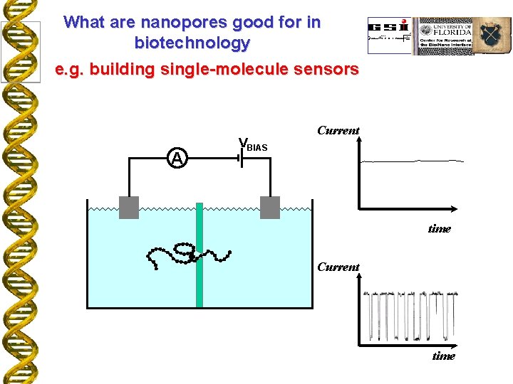 What are nanopores good for in biotechnology e. g. building single-molecule sensors A VBIAS