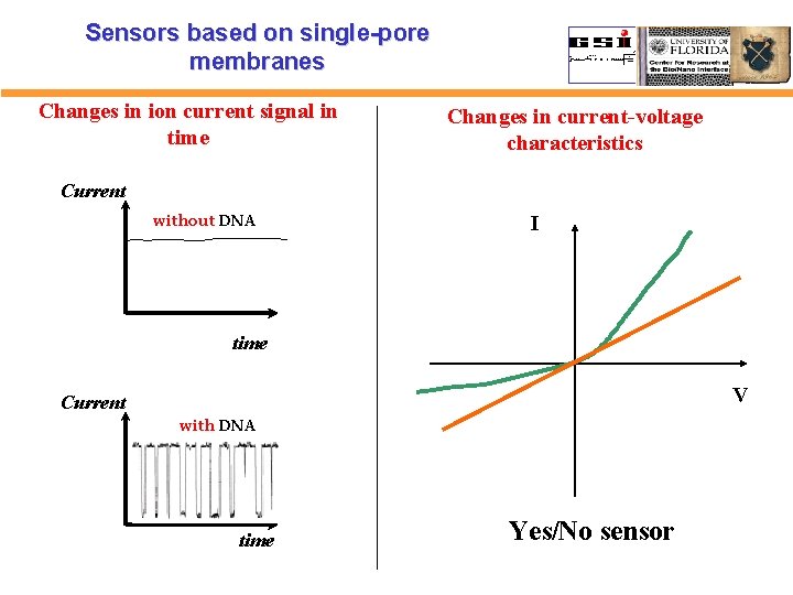 Sensors based on single-pore membranes Changes in ion current signal in time Changes in