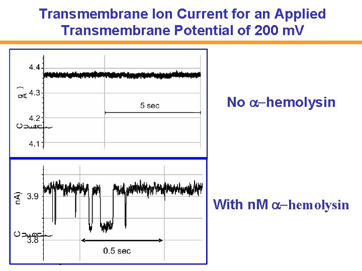 Transmembrane Ion Current for an Applied Transmembrane Potential of 200 m. V No -hemolysin
