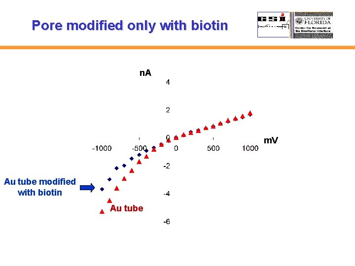 Pore modified only with biotin n. A m. V Au tube modified with biotin