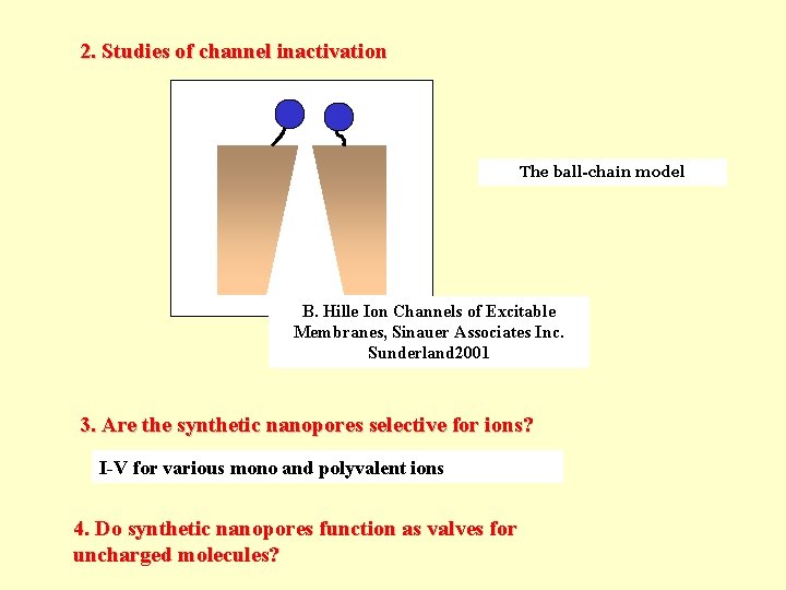 2. Studies of channel inactivation The ball-chain model B. Hille Ion Channels of Excitable