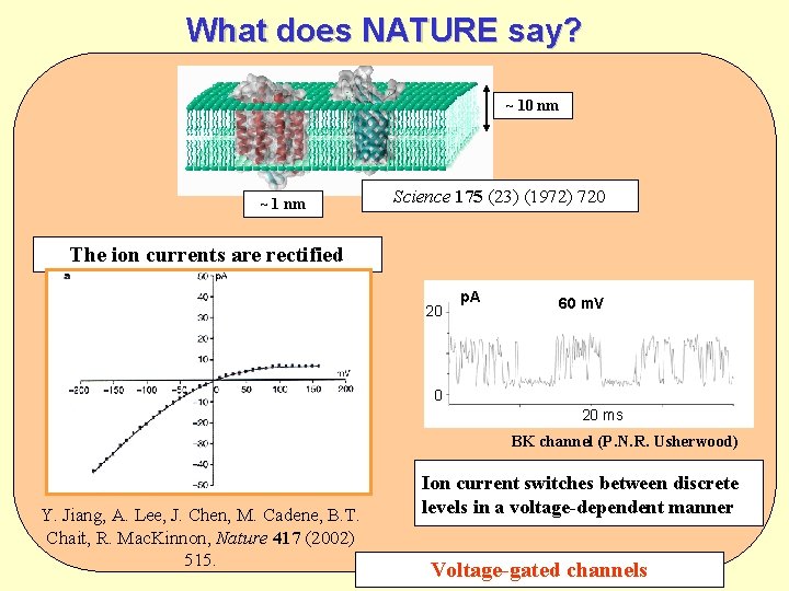 What does NATURE say? ~ 10 nm ~ 1 nm Science 175 (23) (1972)