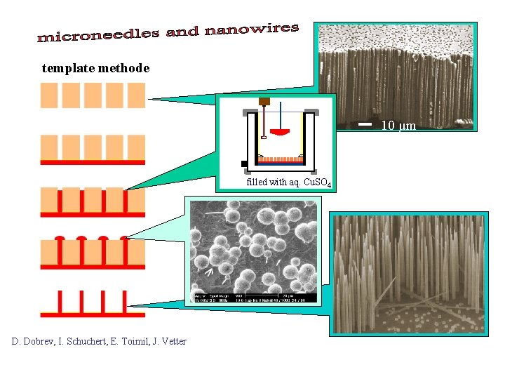 template methode 10 µm filled with aq. Cu. SO 4 D. Dobrev, I. Schuchert,