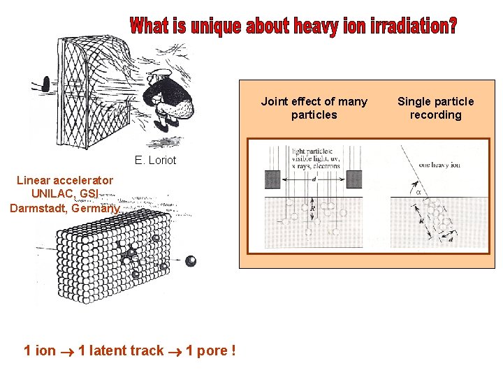 Heavy ions damage Joint effect of many particles E. Loriot Linear accelerator UNILAC, GSI