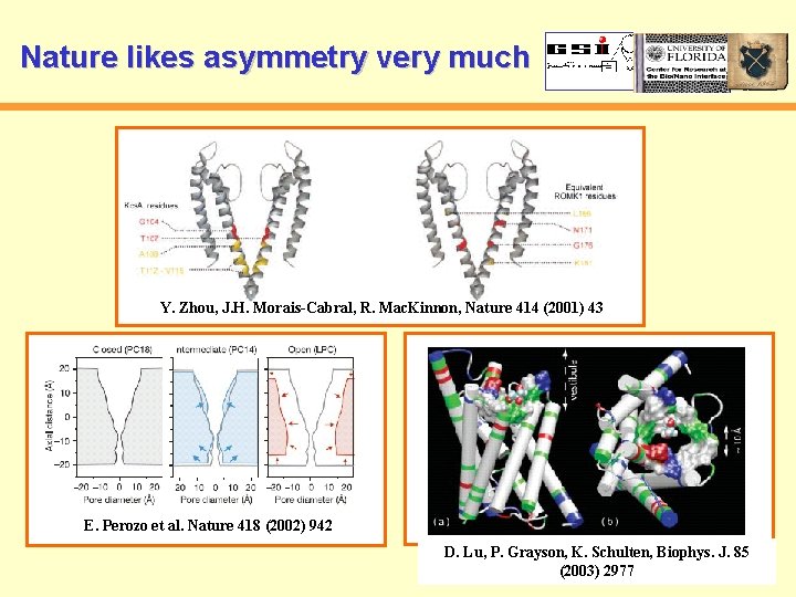 Nature likes asymmetry very much Y. Zhou, J. H. Morais-Cabral, R. Mac. Kinnon, Nature