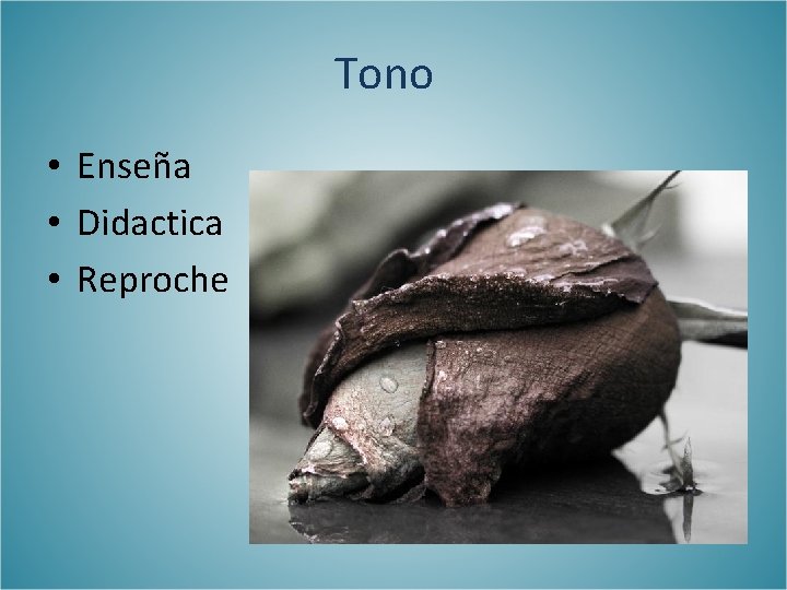 Tono • Enseña • Didactica • Reproche 