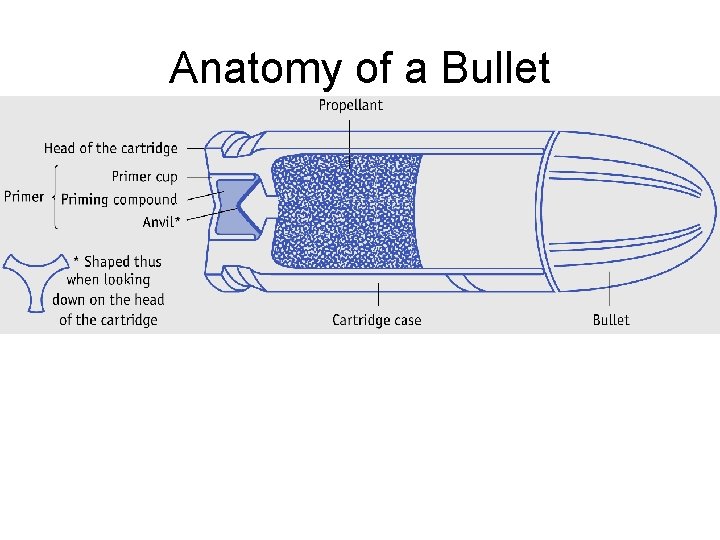 Anatomy of a Bullet 