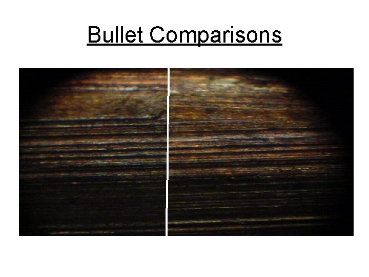 Bullet Comparisons 