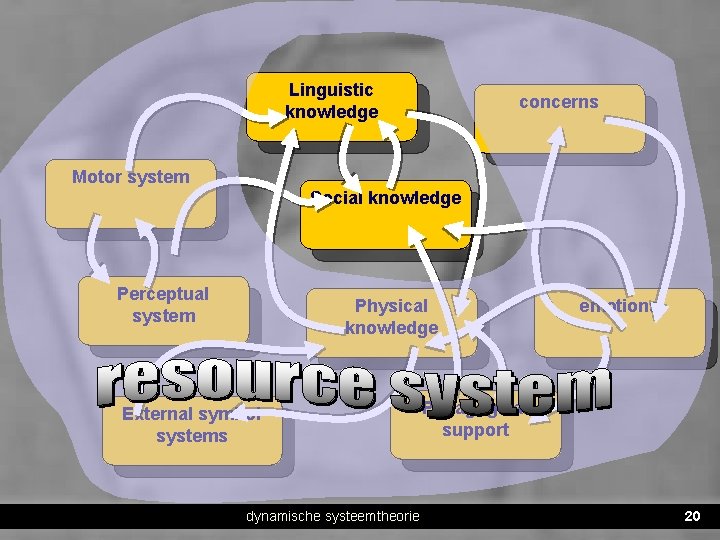Linguistic knowledge concerns Motor system Social knowledge Perceptual system Physical knowledge External symbol systems