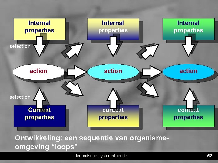 Internal properties action context properties selection action selection Context properties Ontwikkeling: een sequentie van