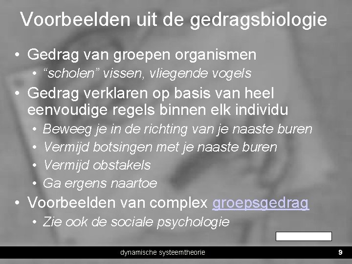 Voorbeelden uit de gedragsbiologie • Gedrag van groepen organismen • “scholen” vissen, vliegende vogels