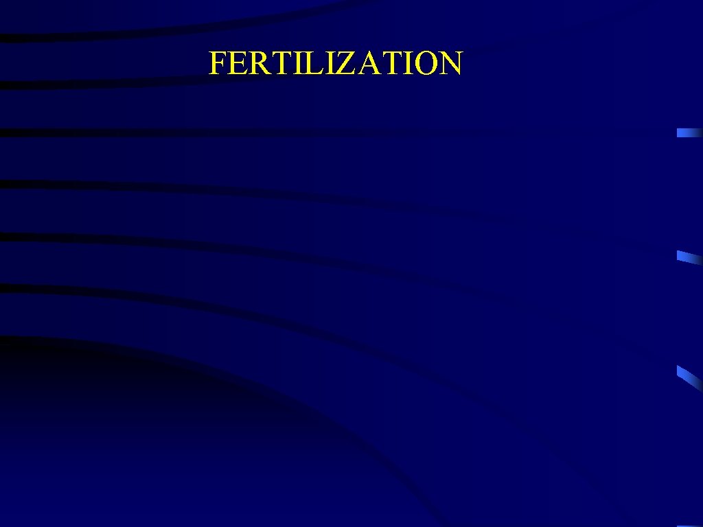 FERTILIZATION 