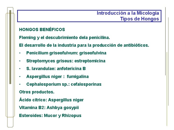 Introducción a la Micología Tipos de Hongos HONGOS BENÉFICOS Fleming y el descubrimiento dela