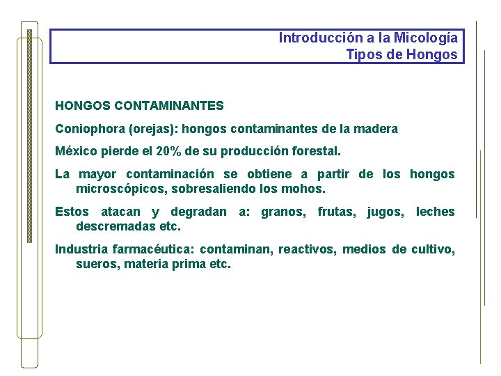 Introducción a la Micología Tipos de Hongos HONGOS CONTAMINANTES Coniophora (orejas): hongos contaminantes de