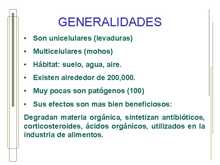 GENERALIDADES • Son unicelulares (levaduras) • Multicelulares (mohos) • Hábitat: suelo, agua, aire. •