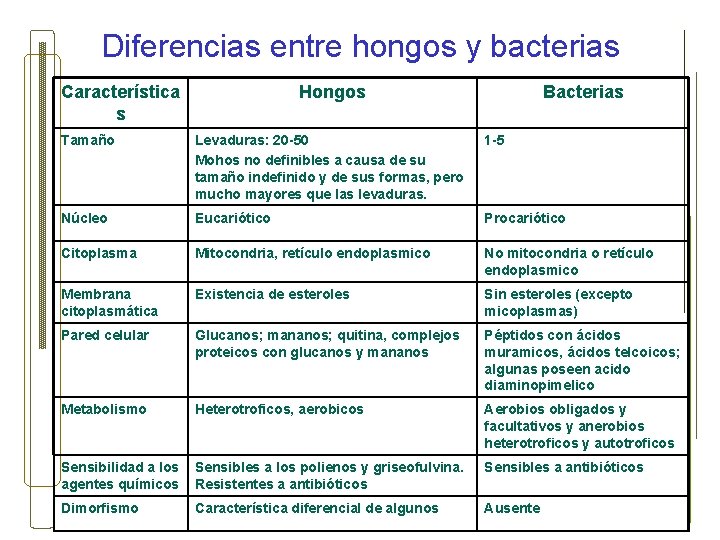 Diferencias entre hongos y bacterias Característica s Hongos Bacterias Tamaño Levaduras: 20 -50 Mohos